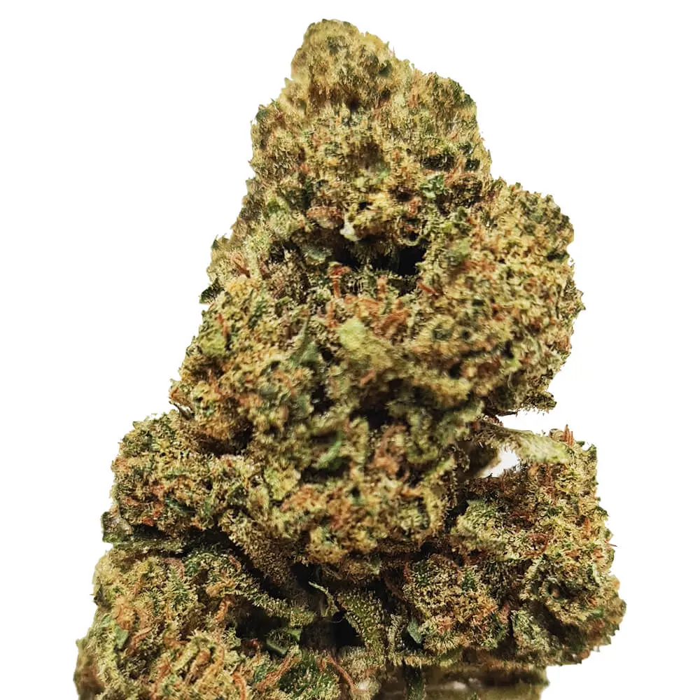 Tangie Premium Green House CBD Flowers 