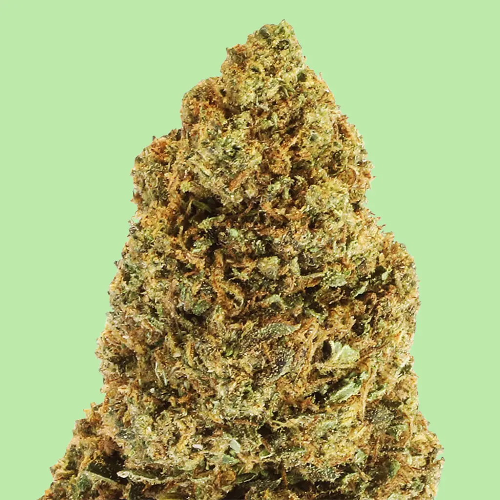 Durban Poison Premium Green House CBD Flowers 