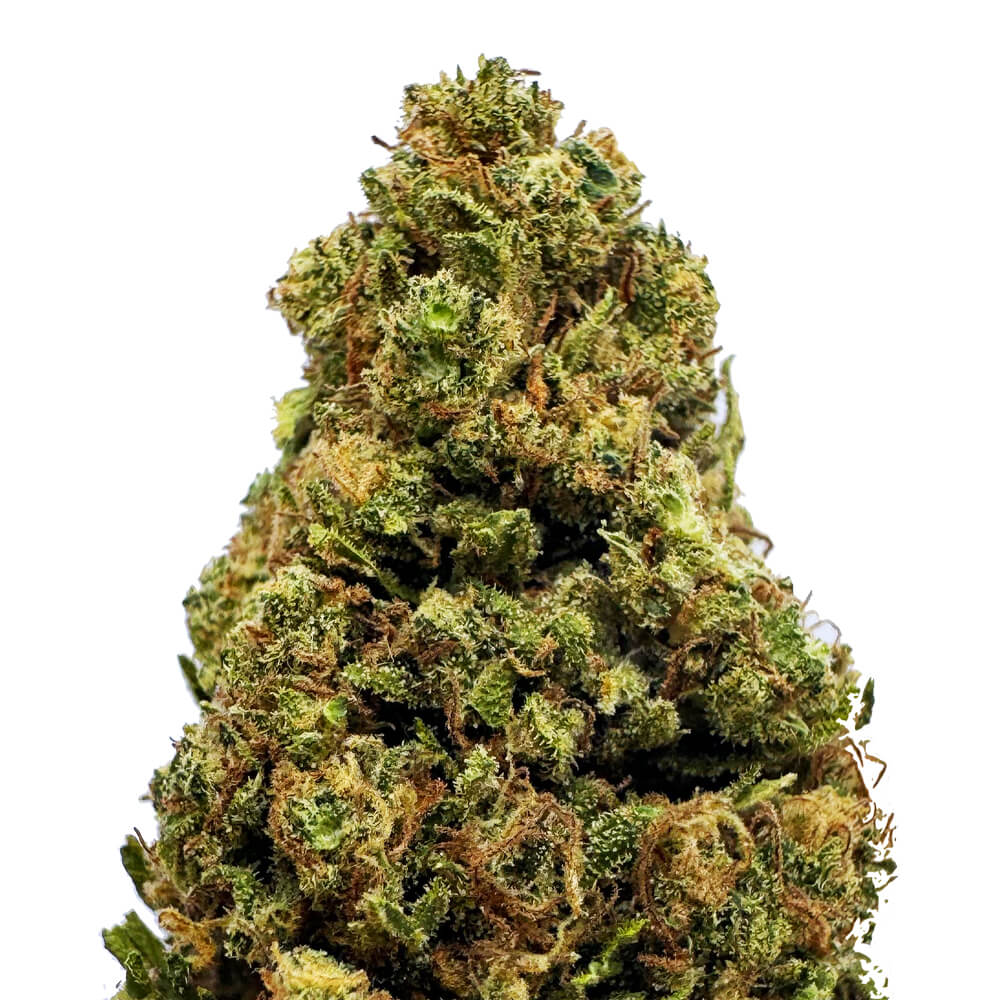 Orange Bud Premium Green House CBD Flowers 