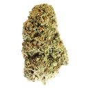 Bubba Kush Premium Glass House CBD Flowers 