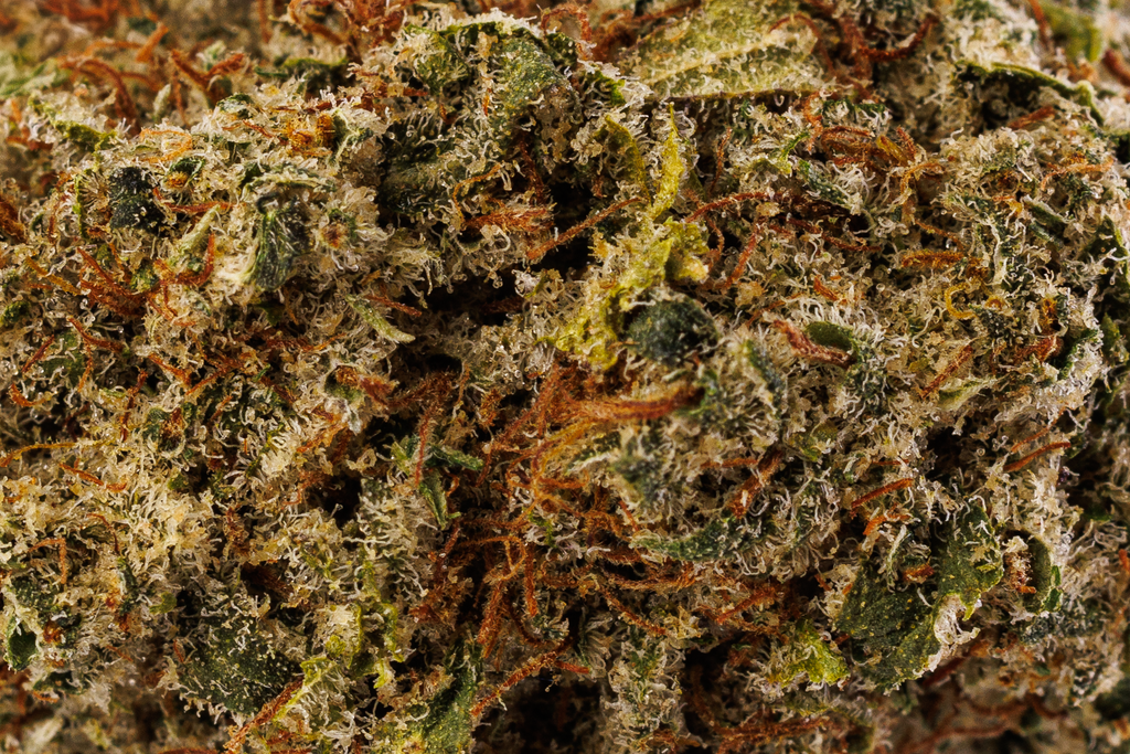 White Fire OG Premium Indoor CBD Flowers 