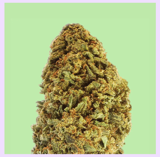 Mistrali img produit.webp