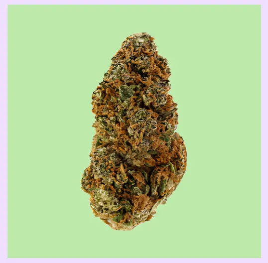 Blueberry Muffin Premium Indoor CBD Flowers 