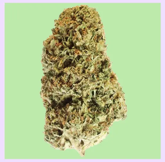 Sour Diesel Premium Green House CBD Flowers 