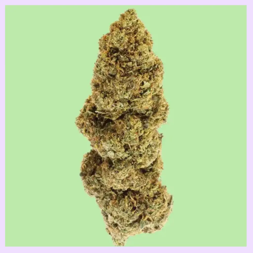 Durban Poison Premium Green House CBD Flowers 