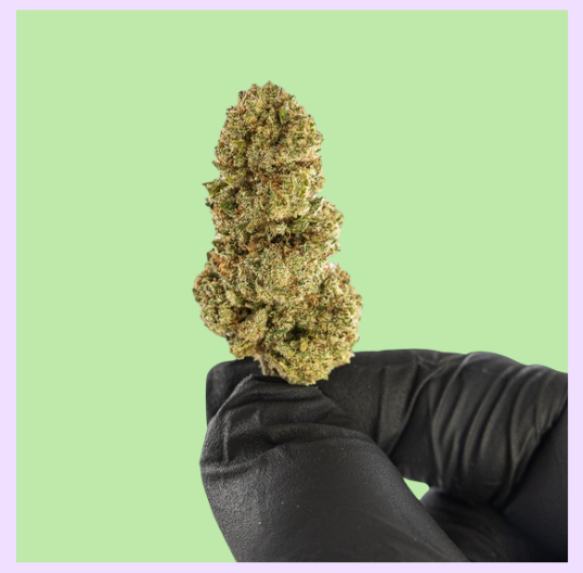 AK47 Green House CBD Flowers