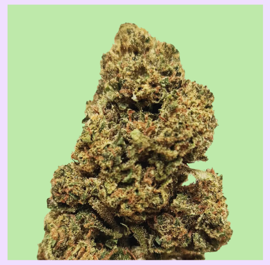 Shiva Green House CBD Flowers