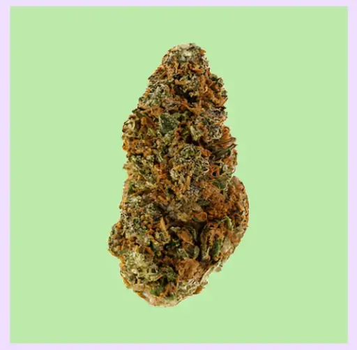 Blueberry Muffin Premium Indoor CBD Flowers 