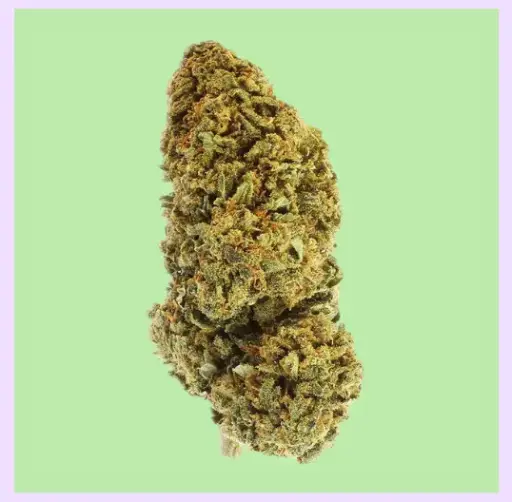 Amnesia Premium Indoor CBD Flowers